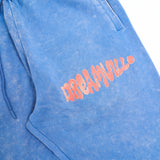 DV Fest Sweatpants - Blue Stacked Logo
